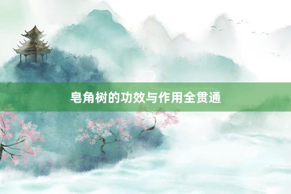 皂角树的功效与作用全贯通